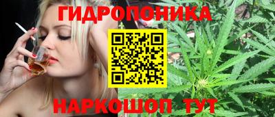 прущий лед Канаш