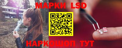 spice Камышлов