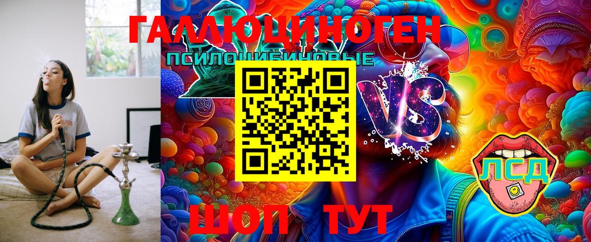 Псилоцибиновые грибы мицелий  Вход с VPN  Тайшет 
